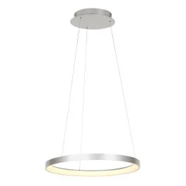 Wysoka jakość Stalen hanglamp Ringlede 4612ST met cable-lift systeem