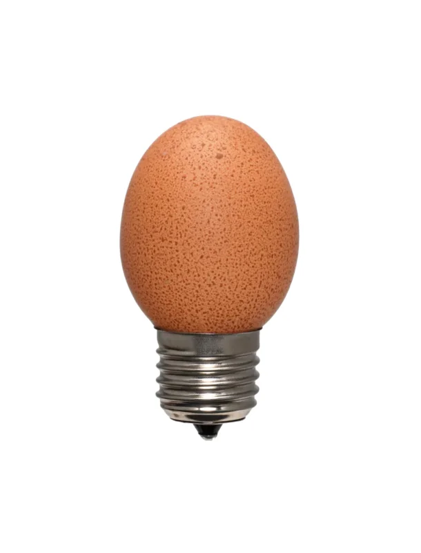 Egglamp Brown - LED lamp van echte eierschalen - LED 2W=20W - E27 - 230V Obniżka ceny