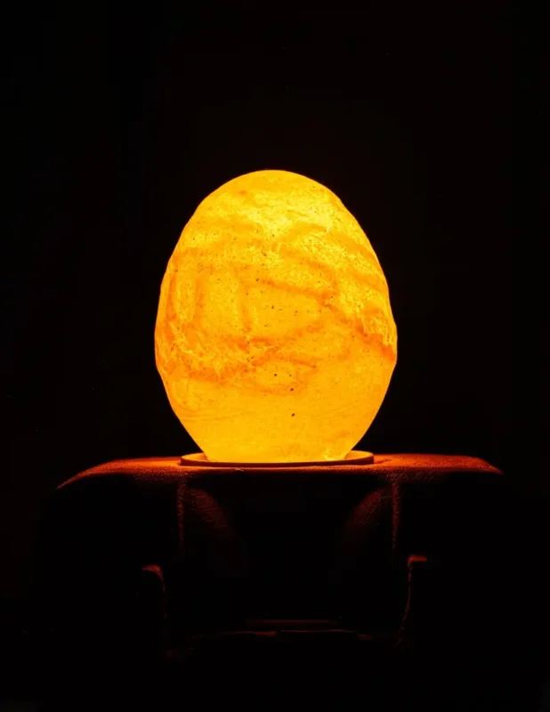 Oferta czasowa Egglamp Special Edition - LED lamp van B-grade ei - LED 2W=20W - E27 - 230V