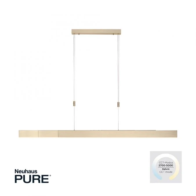 Cena promocyjna Hanglamp Paul Neuhaus E-Slide Uitschuifbaar Messing