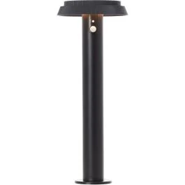 Solarlamp Alvero zwart 50cm Kup teraz
