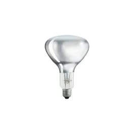 10x Philips E27 R125 Infrarood Lamp | 250W 230V/250V | Dimbaar Oferta limitowana