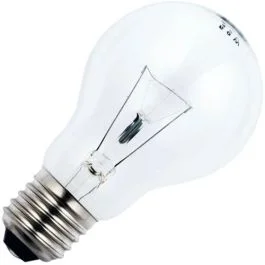 Tani Schiefer E27 Gloeilamp | 40W 2700K 350lm 65V | Dimbaar