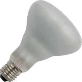 Schiefer E27 R95 Reflector Gloeilamp | 200W 2700K 220V/240V Mat Zilver 30° | Dimbaar Sprawdź teraz