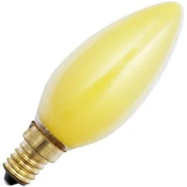 Tani Schiefer E14 Kaars Gloeilamp | 25W Geel 140lm 230V | Dimbaar