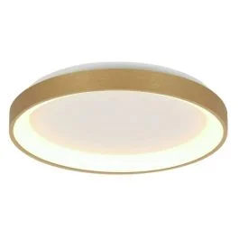 Popularny Steinhauer Ringlede LED Plafondlamp | 30W 2700K 2400lm 927 | Dimbaar | Goud/Wit