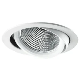 Taniej Internova LED Downlighter Ø170mm | Girevole 940 Fresh Fish