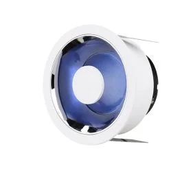 Interlight Infinity Frames | frame met bladveren rond IL-FI12F425834 Kup teraz