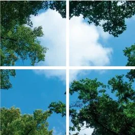 ELP Onderdeel | fotoprint afbeelding wolk-bos | verdeeld over 4 panelen | 595 x 595 mm Premium
