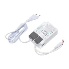 Szybka wysyłka LED driver - 30 watt - dimbaar 1_10Volt - 500 mA - snoer en stekker - vervanger voor bij LED geleverde niet dimbare voeding